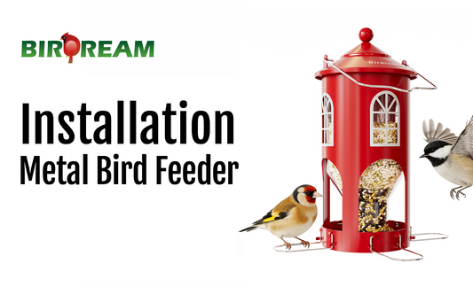 Installation - Birdream BD608 Metal Bird Feeder