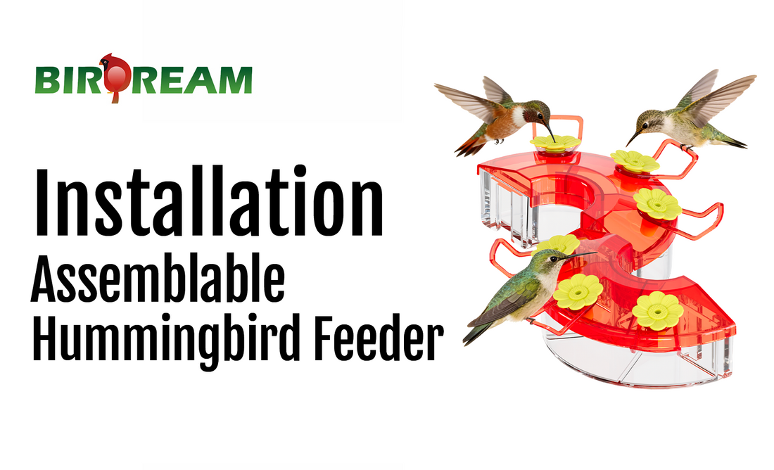 Installation - Birdream BD605 Window Hummingbird Feeder