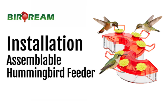 Installation - Birdream BD605 Window Hummingbird Feeder