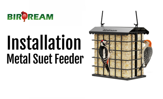 Installation - Birdream BD612 Metal Suet Feeder