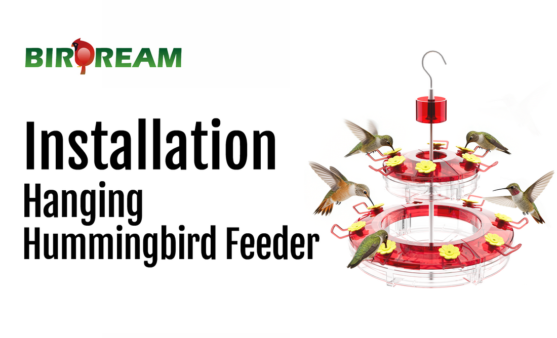 Installation - Birdream BD603 Hanging Hummingbird Feeder