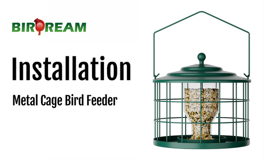 Installation - Birdream BD606 Metal Cage Bird Feeder