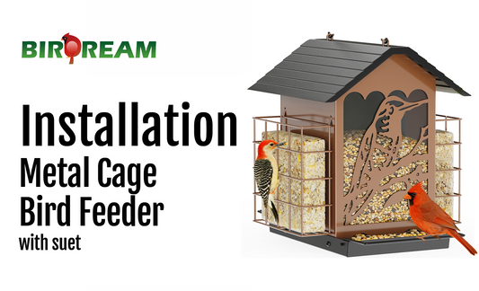 Installation - Birdream BD609 Metal Bird Feeder