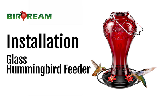 Installation - Birdream BD515 Glass Hummingbird Feeder