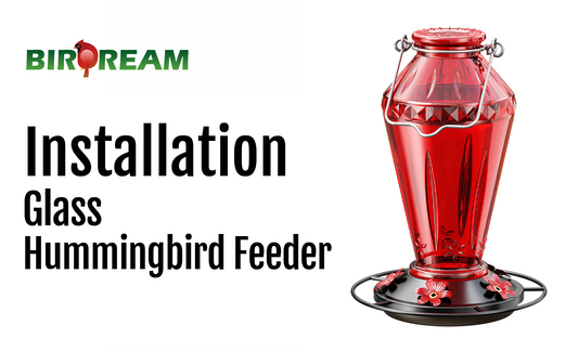 Installation - Birdream BD516 Glass Hummingbird Feeder
