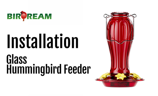 Installation - Birdream BD514 Glass Hummingbird Feeder