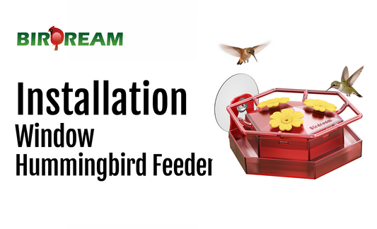 Installation - Birdream BD518 Window Hummingbird Feeder