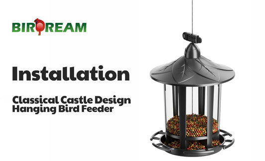 Installation: Classical Castle Design Hanging Bird Feeder