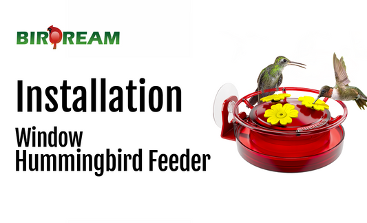 Installation - Birdream BD517 Window Hummingbird Feeder