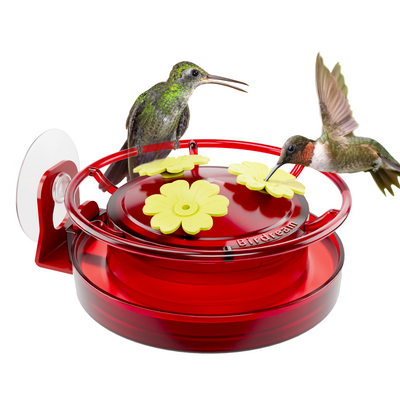 BD517 Window Hummingbird Feeder