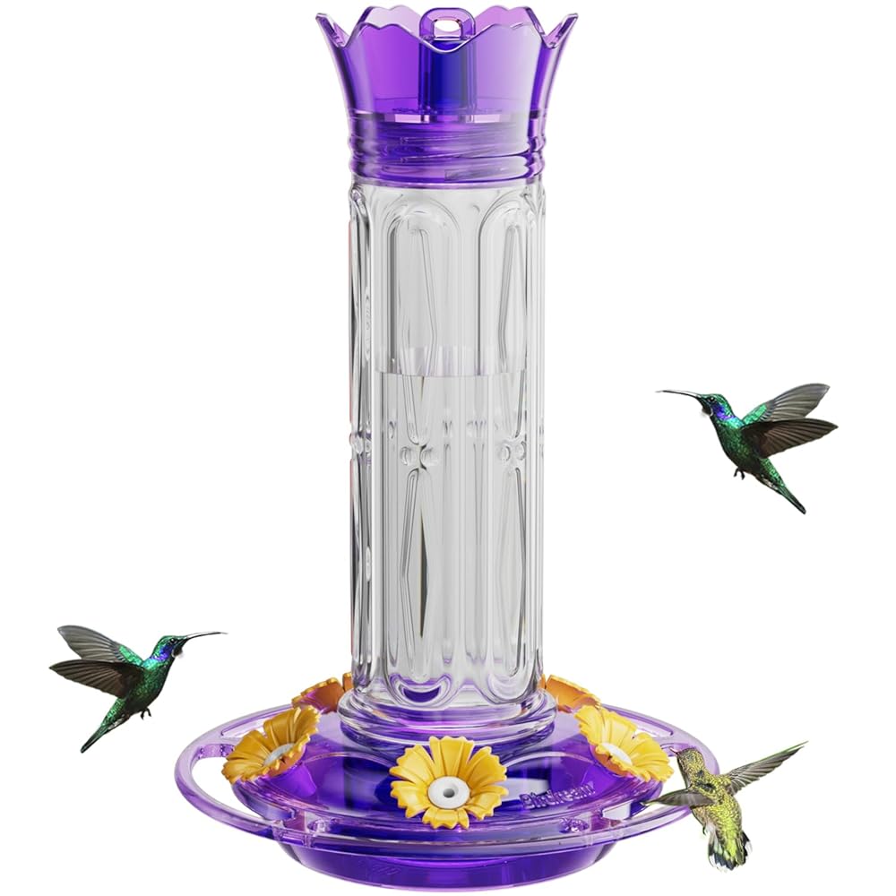 Crown Hummingbird Feeder