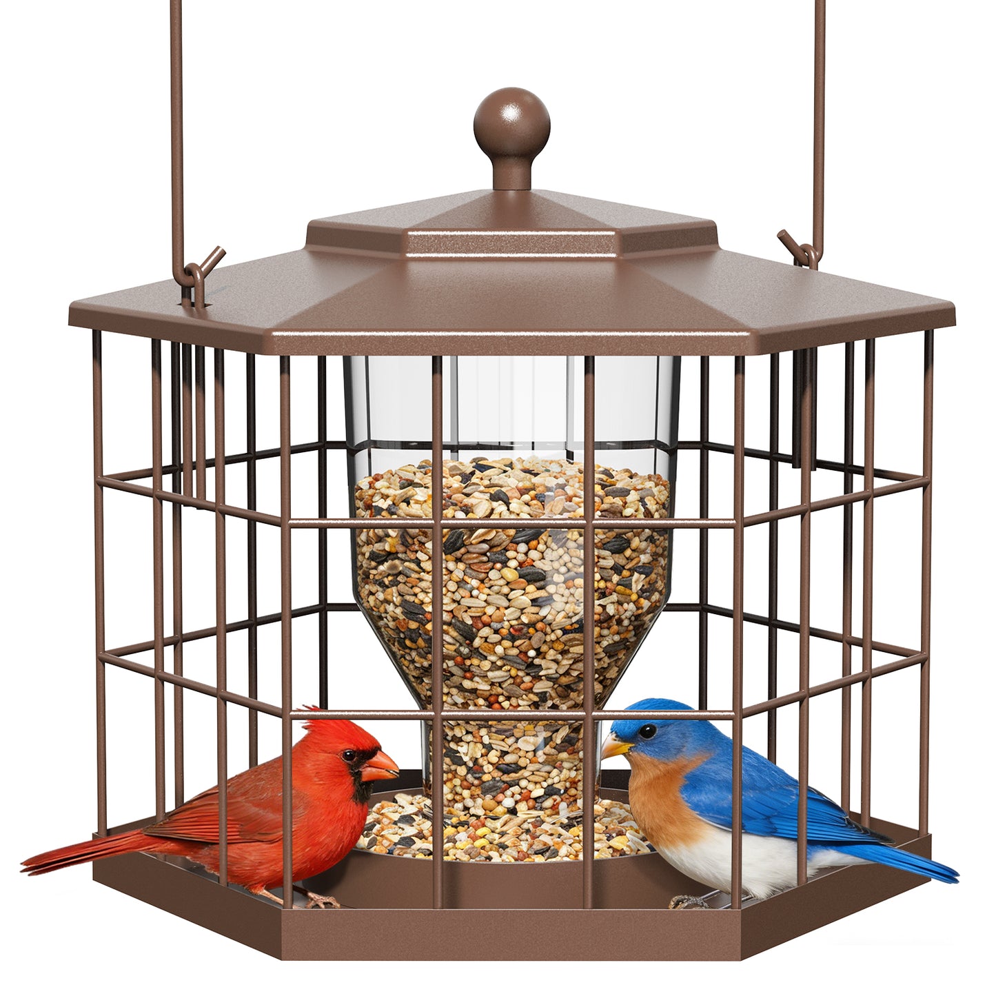 BD607 Metal Cage Bird Feeder (Brown)
