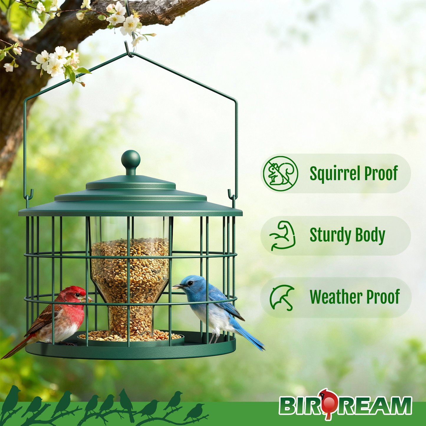 BD606 Metal Cage Bird Feeder (Green)