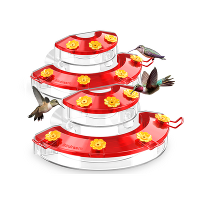 BD602 Window Hummingbird Feeder