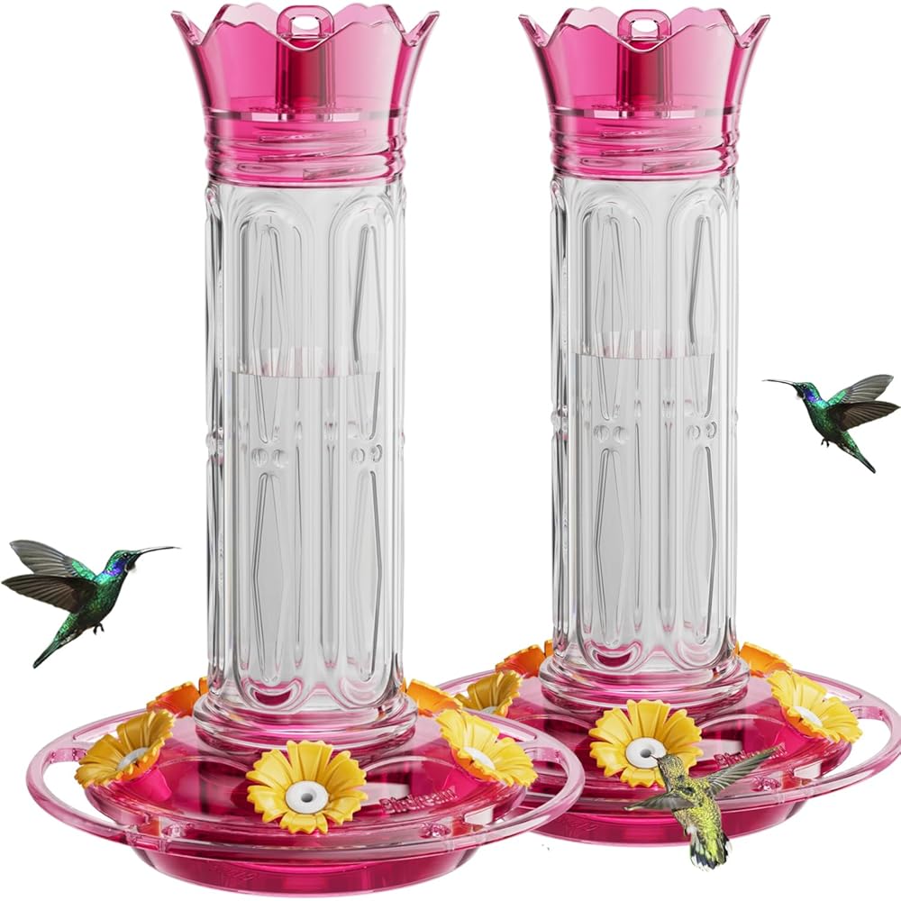 Crown Hummingbird Feeder