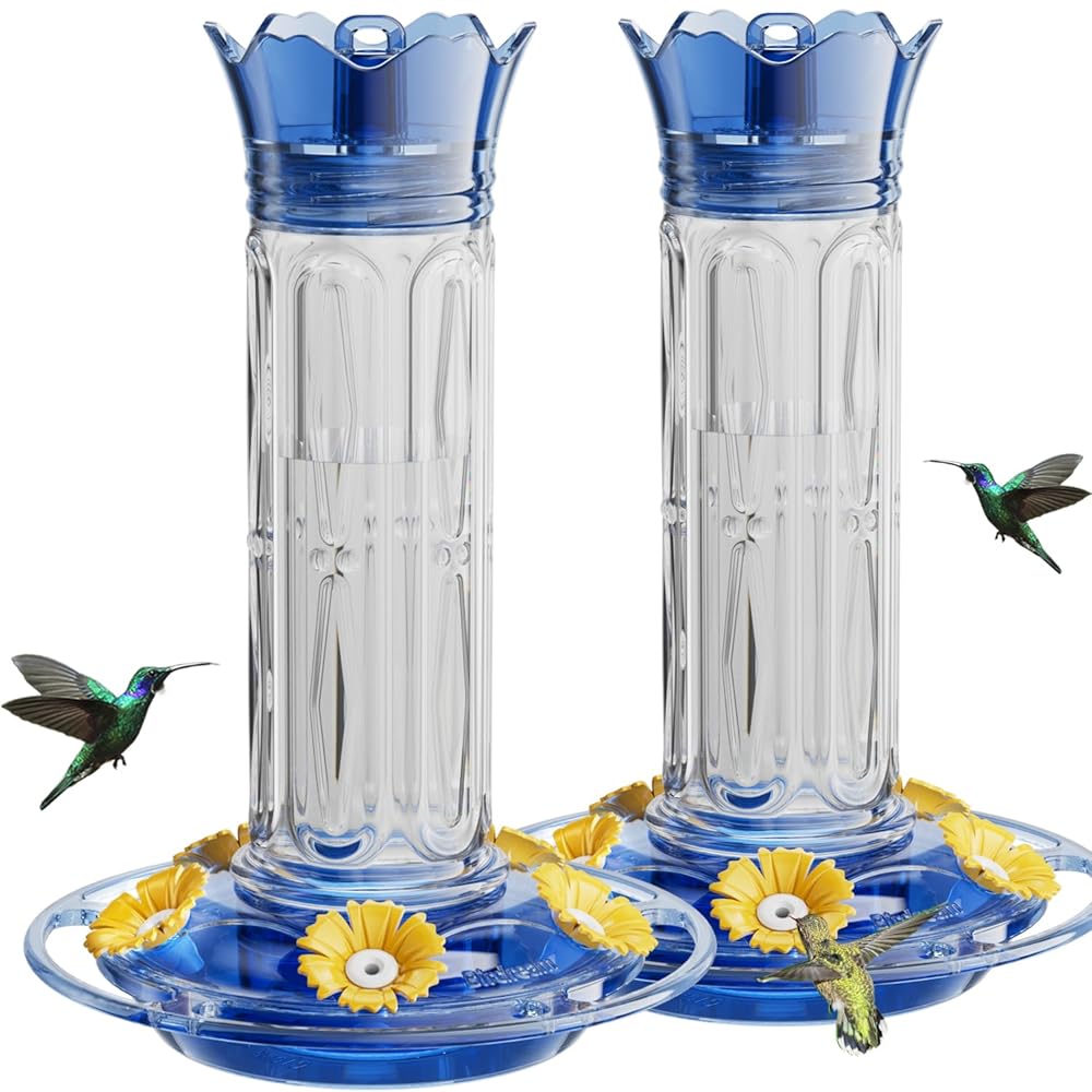 Crown Hummingbird Feeder
