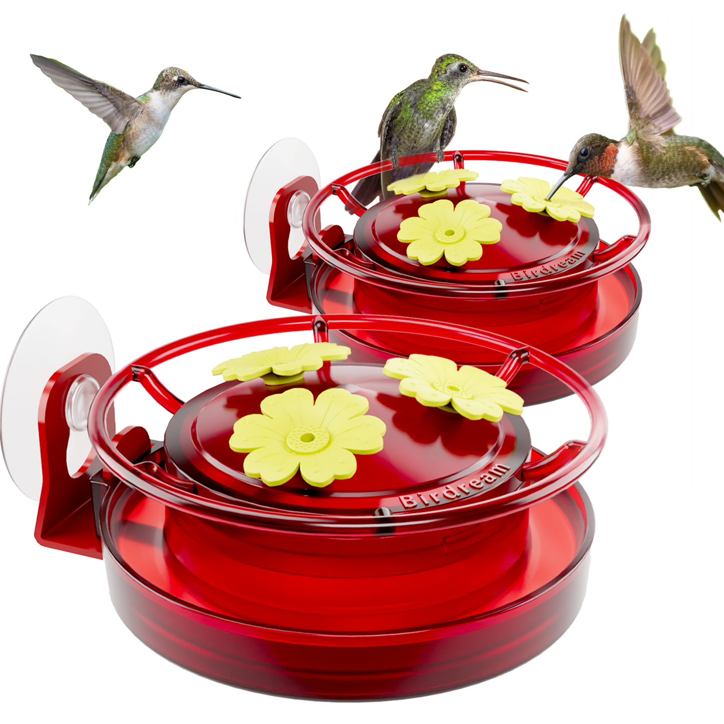 BD517 Window Hummingbird Feeder