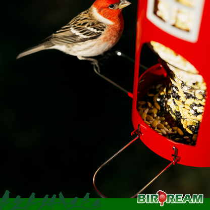 BD608 Metal Bird Feeder