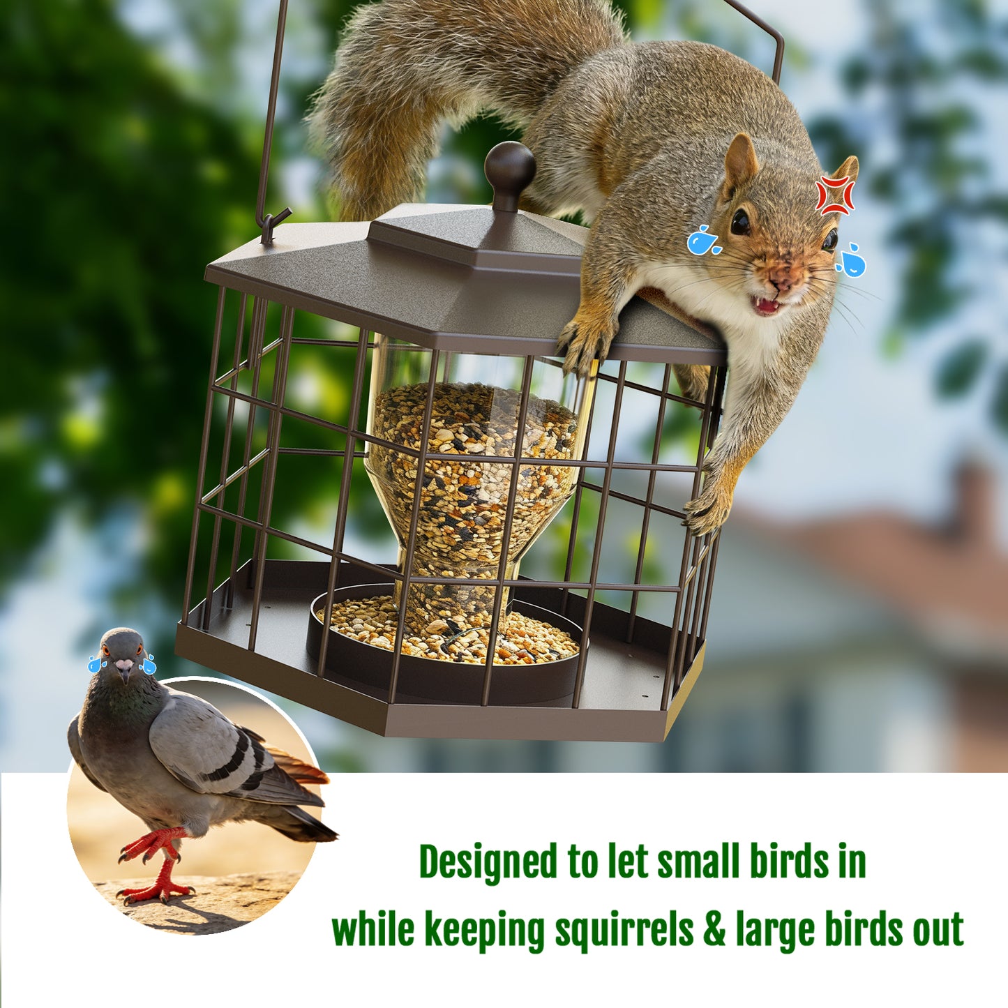 BD607 Metal Cage Bird Feeder (Brown)