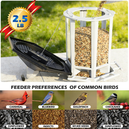 Solar Light Pagoda Bird Feeder