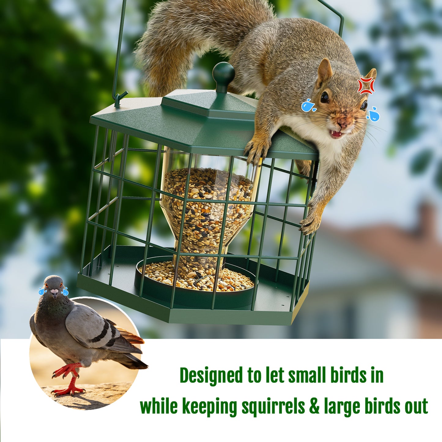 BD607 Metal Cage Bird Feeder (Green)