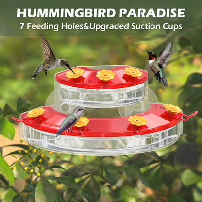 BD602 Window Hummingbird Feeder