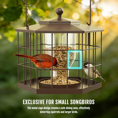 BD607 Metal Cage Bird Feeder (Brown)