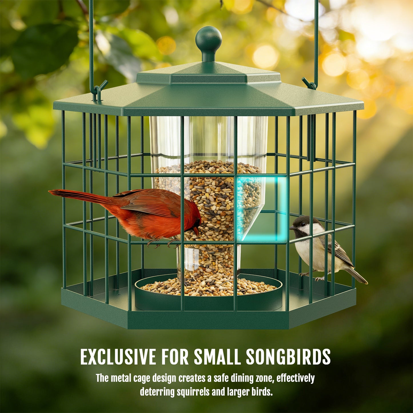 BD607 Metal Cage Bird Feeder (Green)