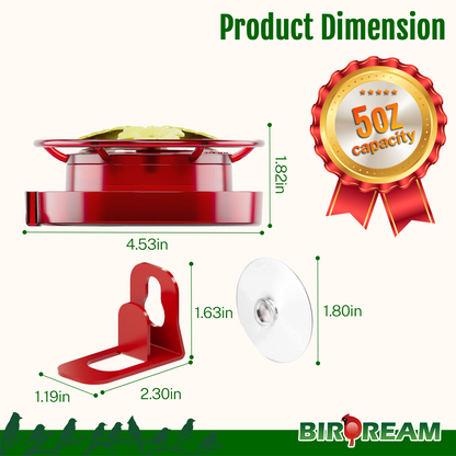 BD517 Window Hummingbird Feeder