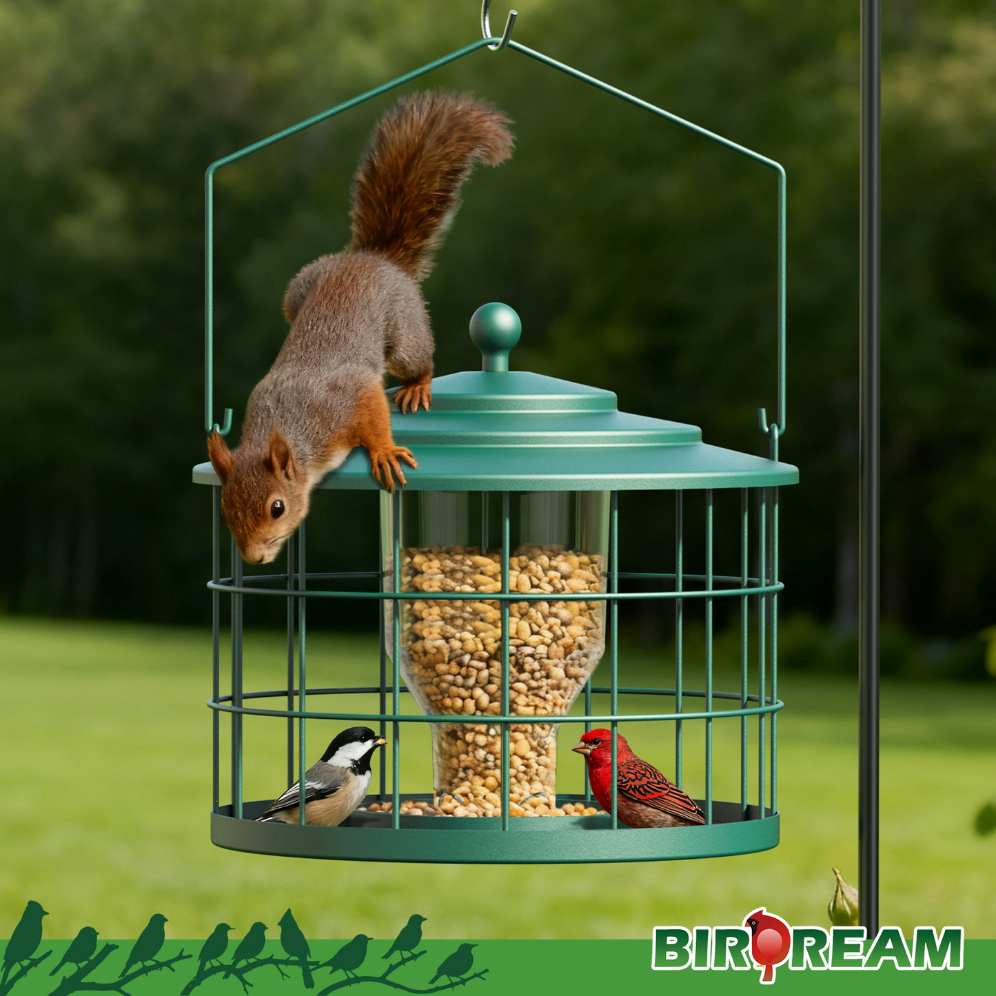 BD606 Metal Cage Bird Feeder (Green)