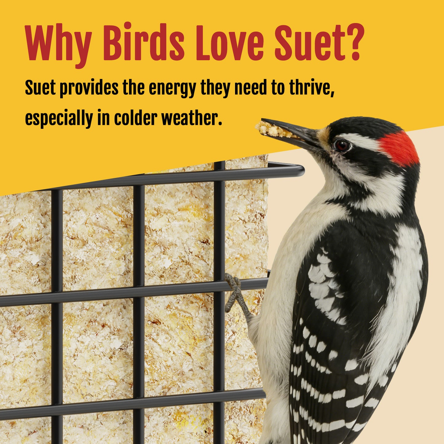 BD612 Metal Suet Bird Feeder