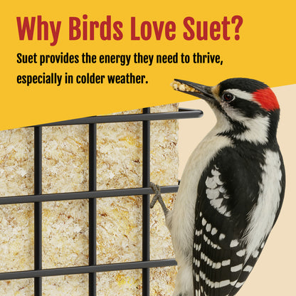 BD612 Metal Suet Bird Feeder