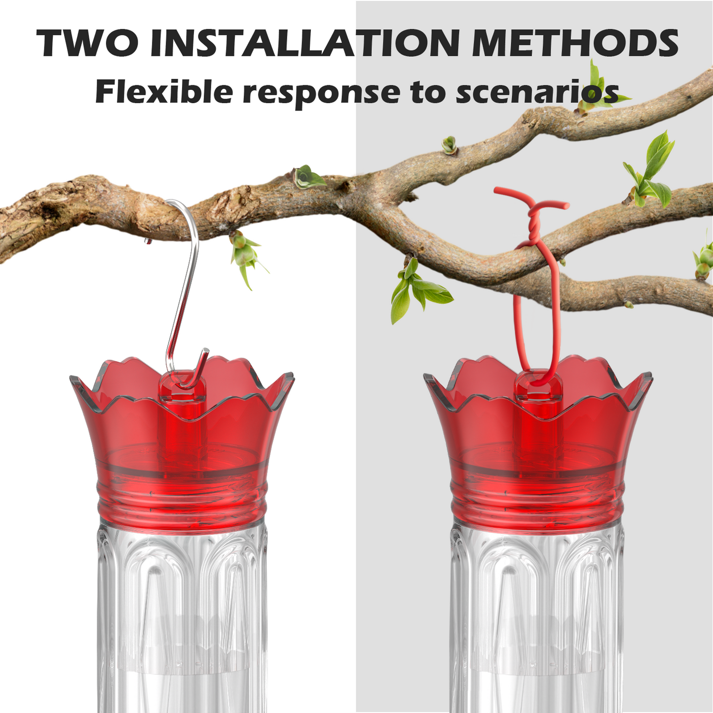Crown Hummingbird Feeder
