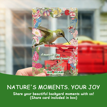 BD518 Window Hummingbird Feeder