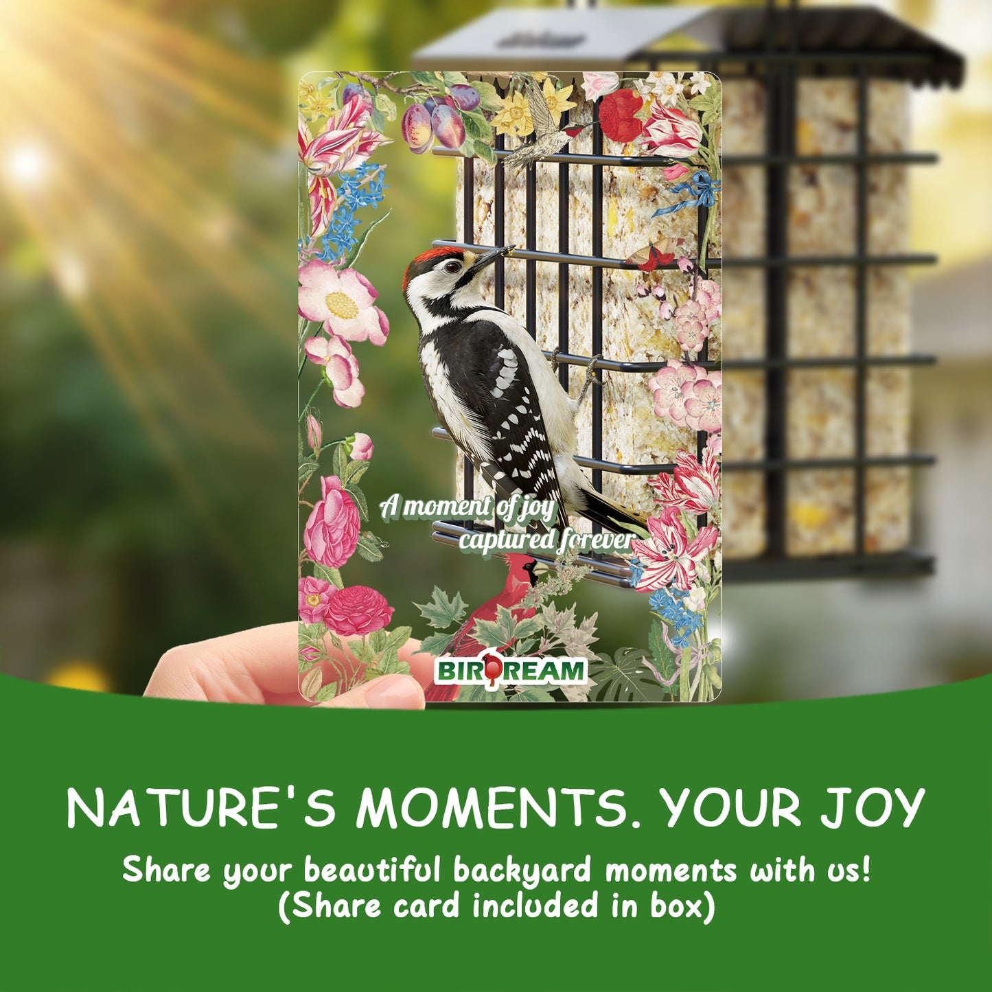 BD612 Metal Suet Bird Feeder