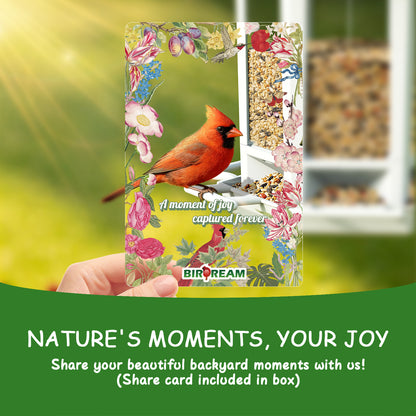 Solar Light Pagoda Bird Feeder