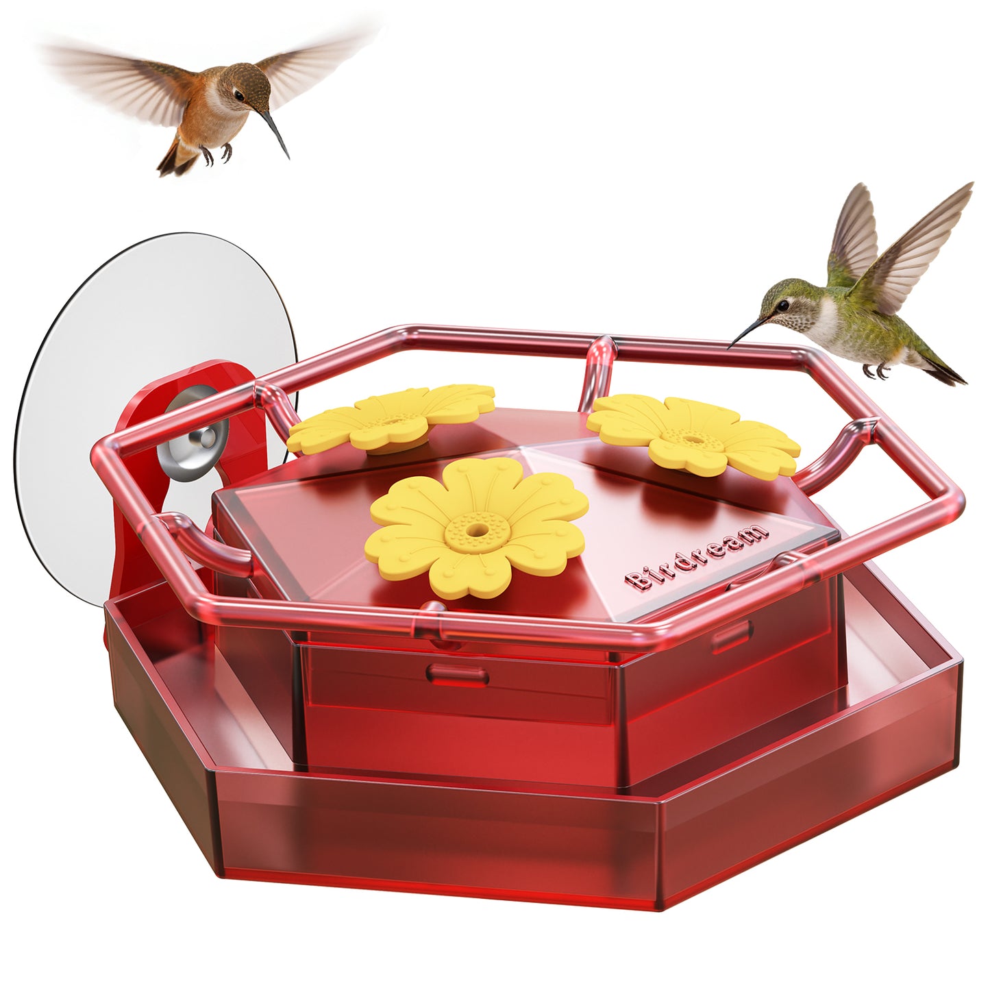 BD518 Window Hummingbird Feeder