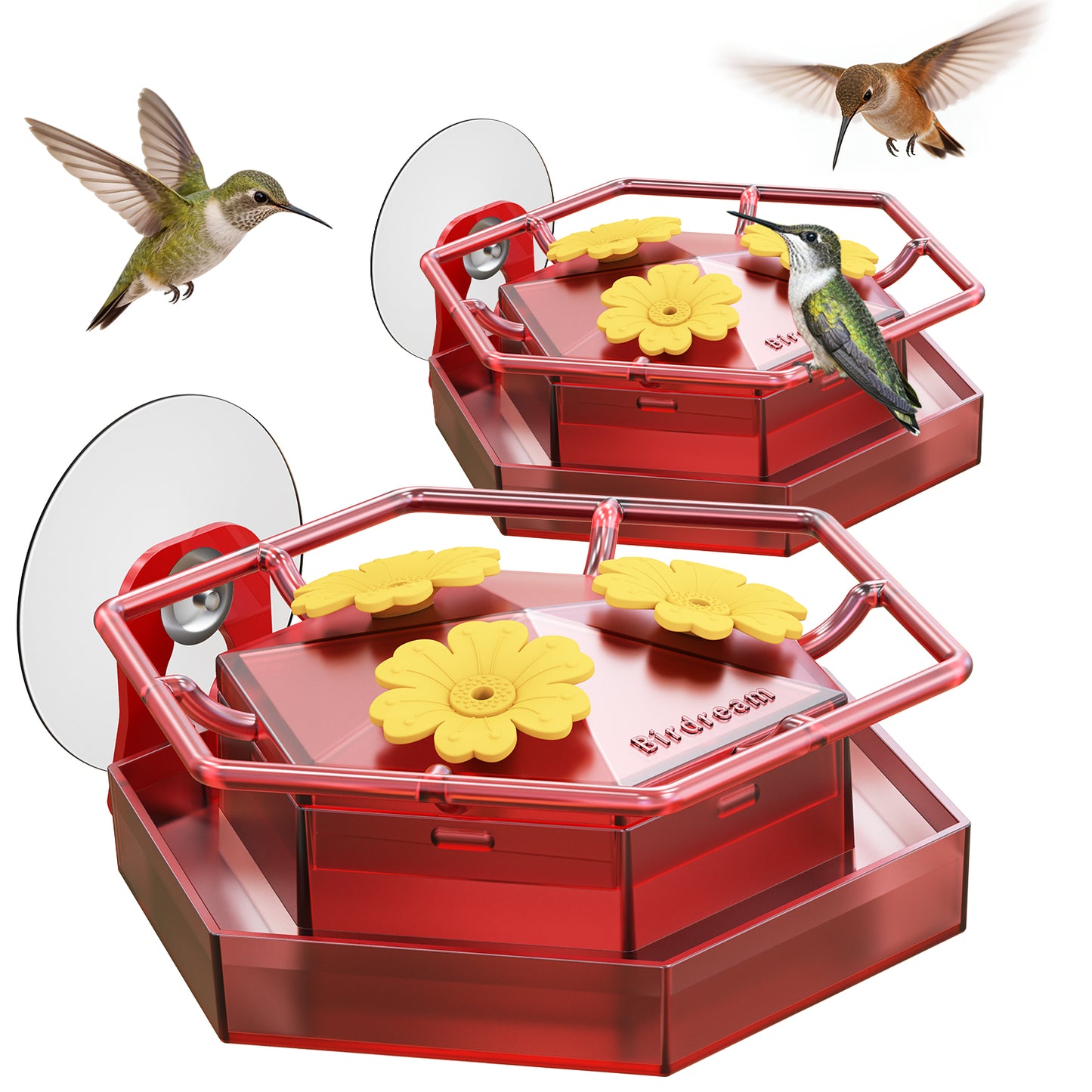 BD518 Window Hummingbird Feeder