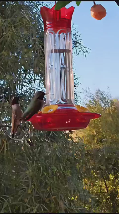 Crown Hummingbird Feeder