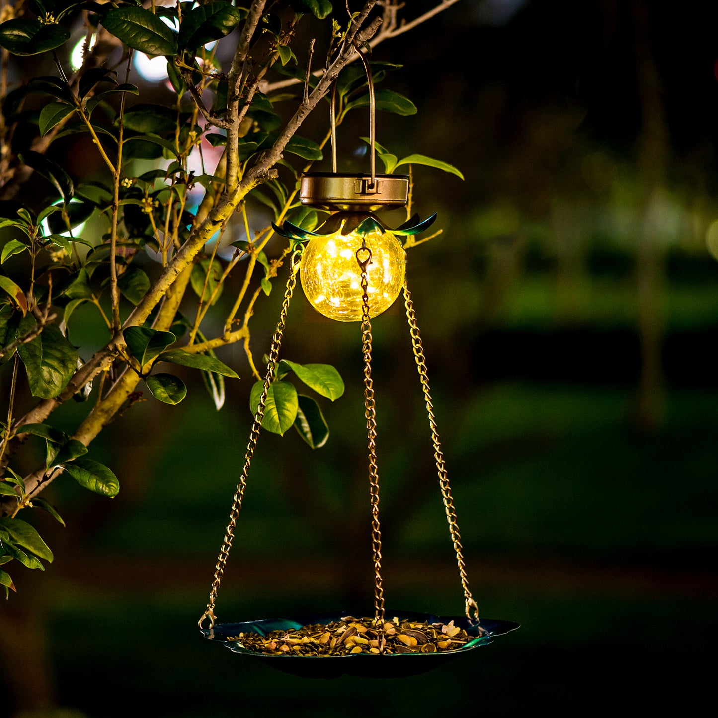 BD0089 Solar Bird Feeder
